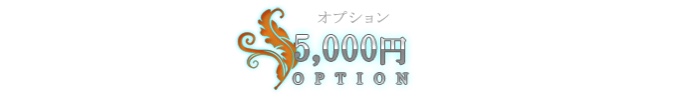 5000円オプション